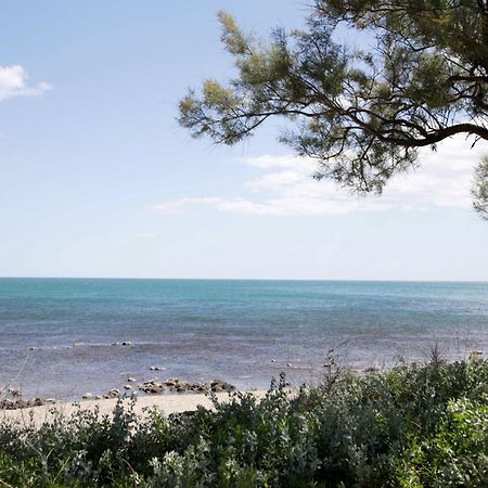 Ferienwohnung Centre Port,Vue Panoramique,Clim,Balcon,Wifi Agde Exterior foto