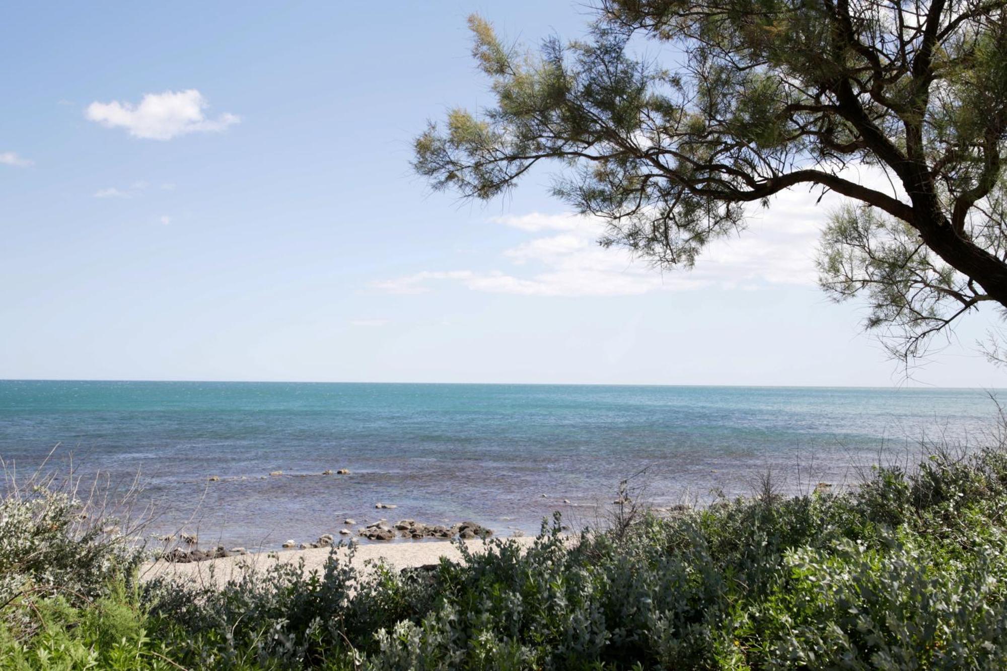 Ferienwohnung Centre Port,Vue Panoramique,Clim,Balcon,Wifi Agde Exterior foto